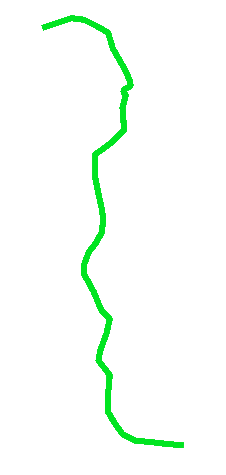Border Green.gif