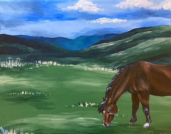 Mount Roger's Pony.jpeg