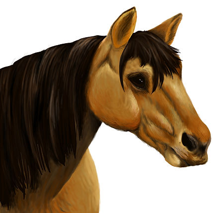 horsereal2.jpg