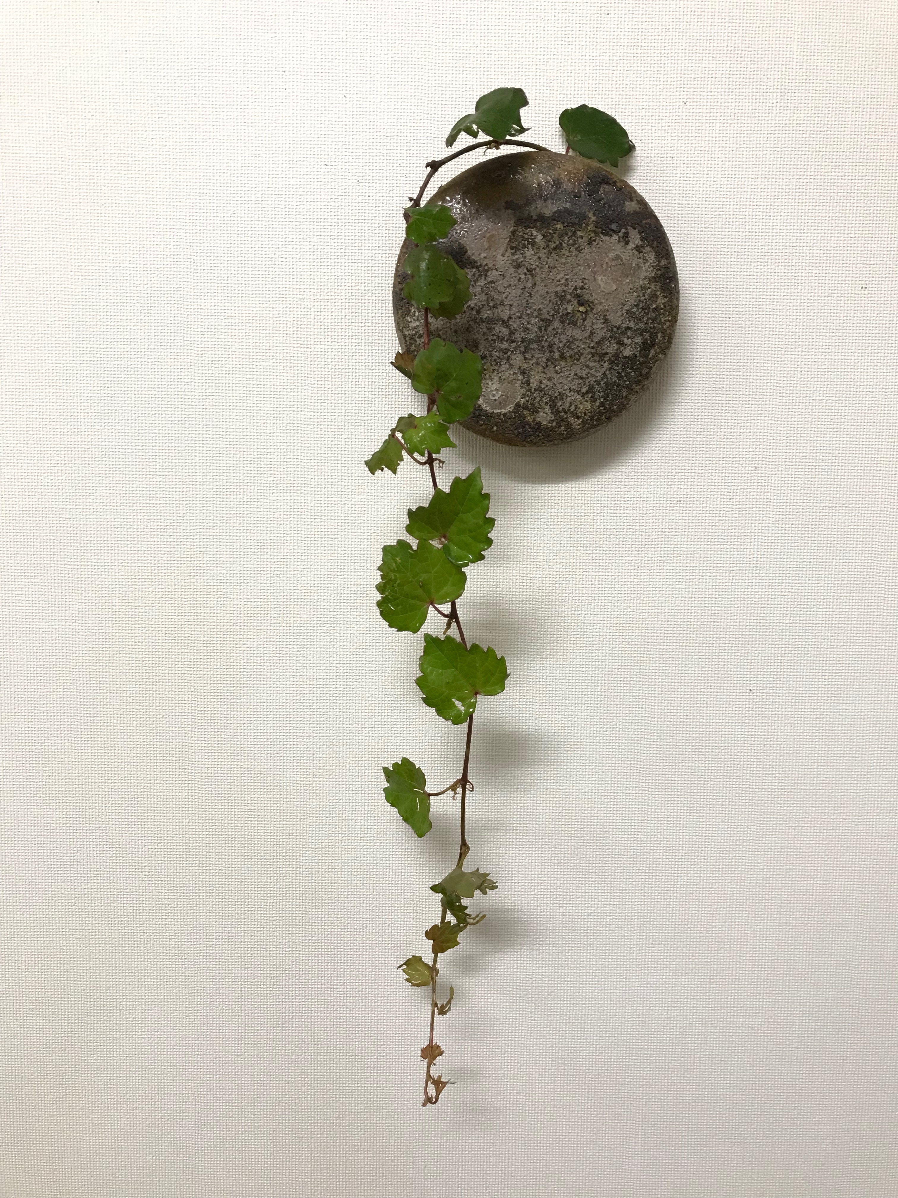 流転ノ月