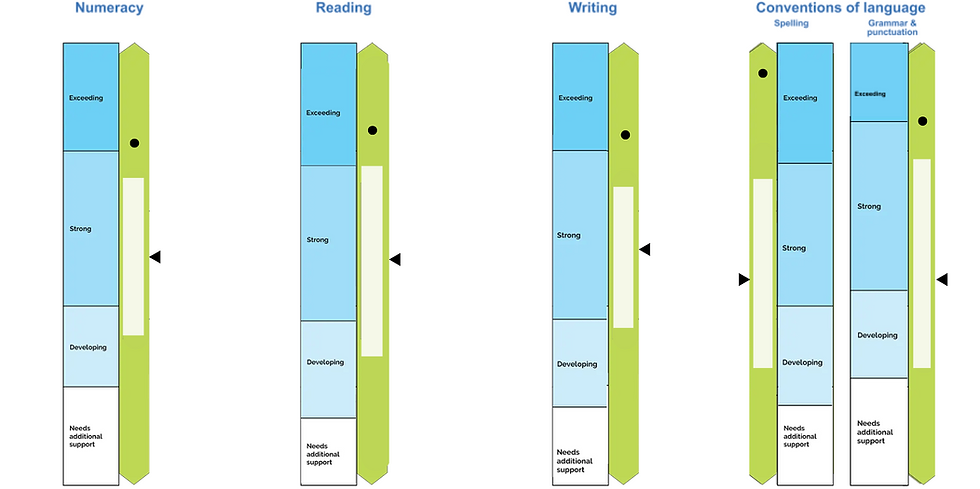 naplan (2).png