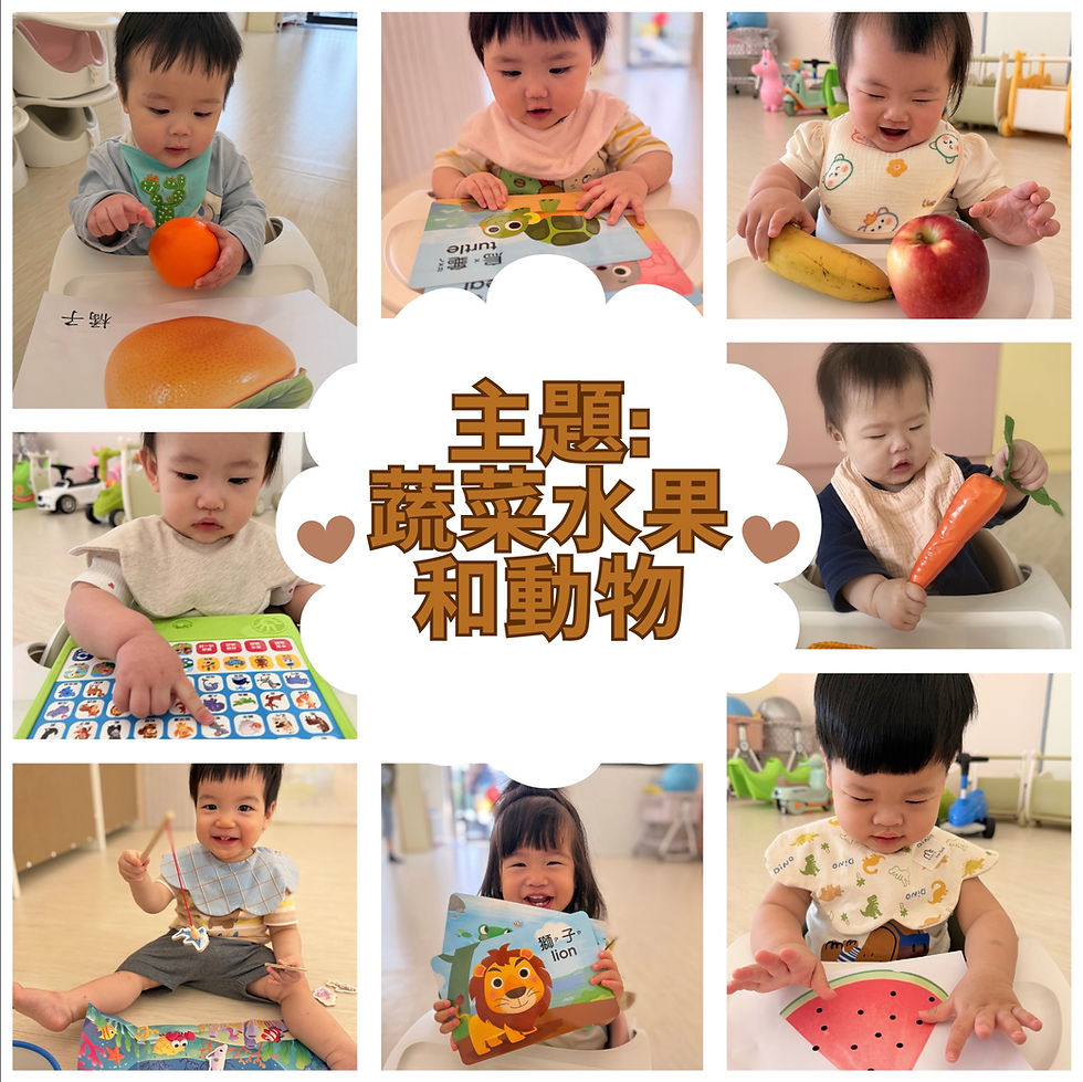 小麥班