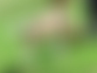 Wünschen ein schönes Wochenende!