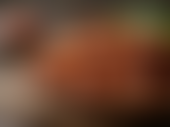 Discover the Benefits of Eating Insects