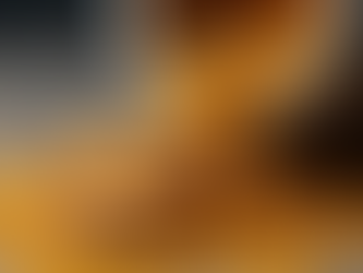 What Goes Into Making Cricket Flour?