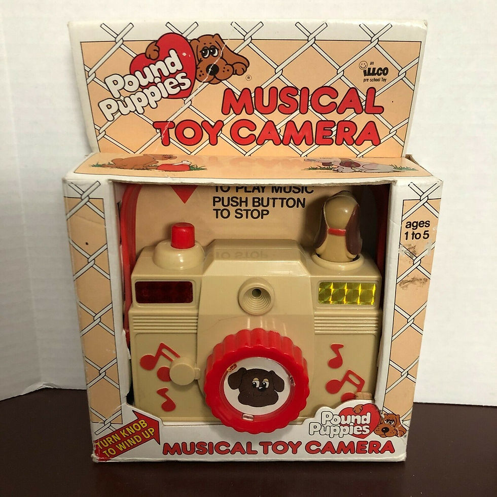 musical camera