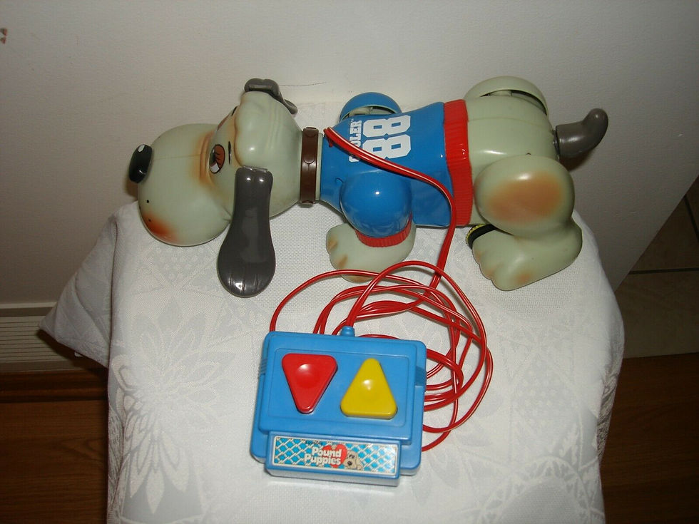 cooler remote