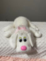 Poodle