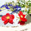 Miniature : ORCHIDÉES ROUGES