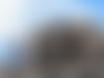 Geologist Discrimination