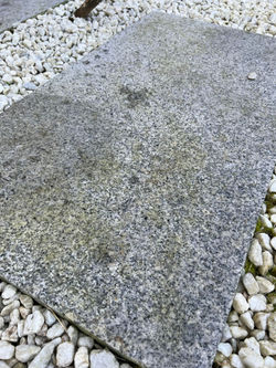 received_1343296076281605