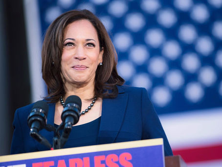 The Race for Biden's VP Spot