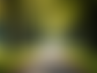 Achieving Holistic Health and Wellbeing: The Pillars of Health and Wellness