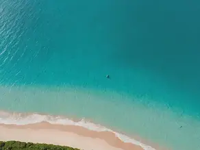 Ultimate Guide to the Best Big Wave Surfing on St. Martin / Sint Maarten
