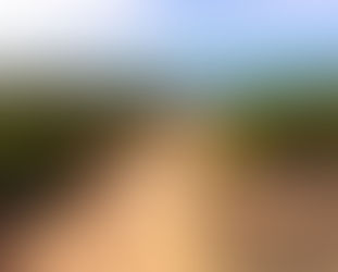 San Diego Adventure Parks: Thrills, Rides &amp; Outdoor Fun for All Ages