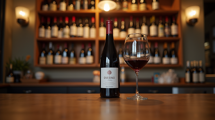 Eye-level view of The Cellar's inviting wine selection