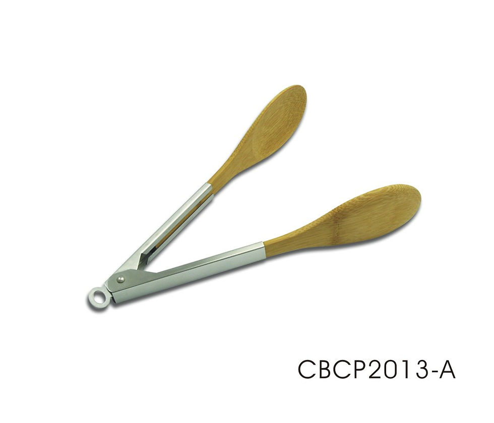 CBCP2013-A