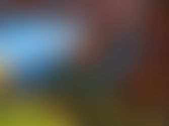 推荐 | 在金秋时节--遇见色彩缤纷的勃朗峰