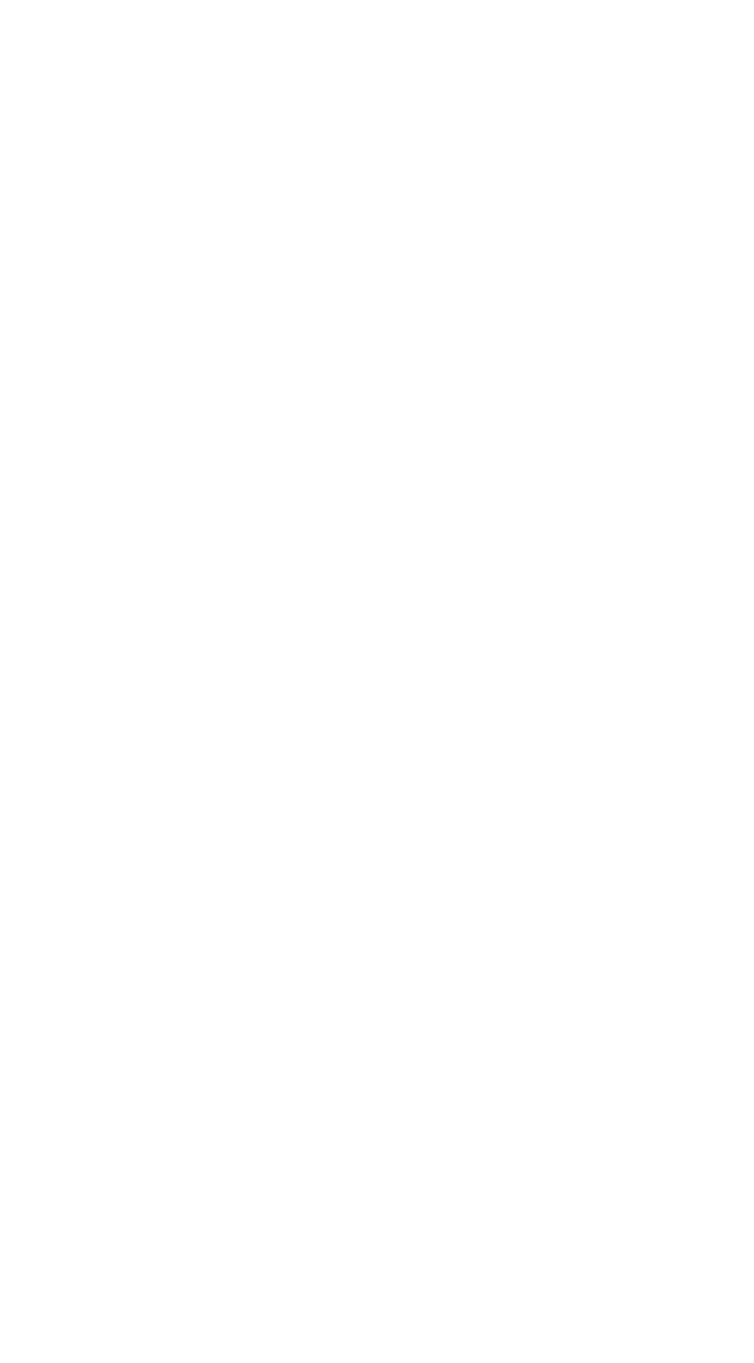 VasterasStad_Logotyp_2025_Centrerad_Vit_Digitalt.png