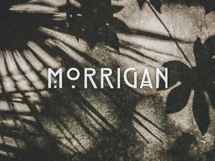Morrigan, the Celtic goddess of death, destiny, and war