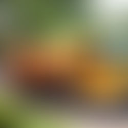 Affordable Sanitation & Waste Management Solutions in Kumasi