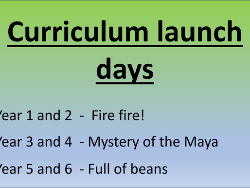 Curriculum launch days