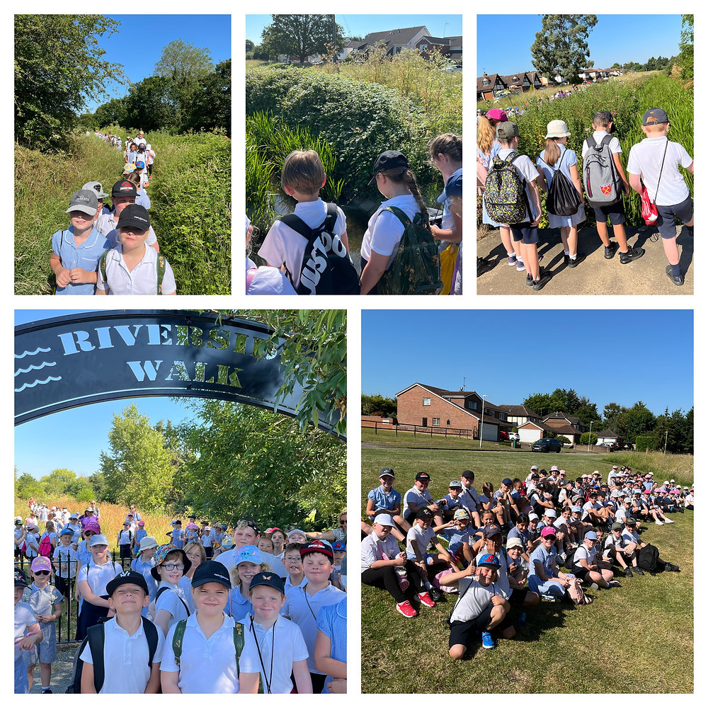 Pive Rivers Walkathon River walk