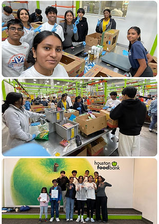 Screenshot 2024-07-20 at 8.15.54 AM.png