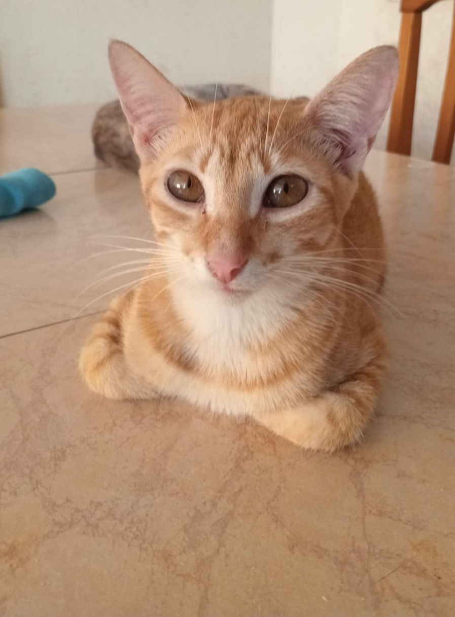 Gracias Petey por tu amor y tu acompañamiento.