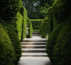 Green Garden Path_edited.jpg