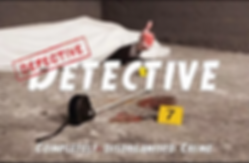 defective detective.png