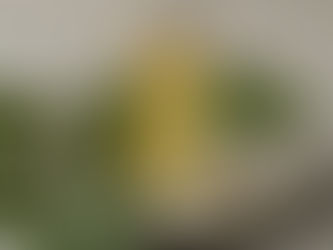 How Ouch Balm Treats Pain