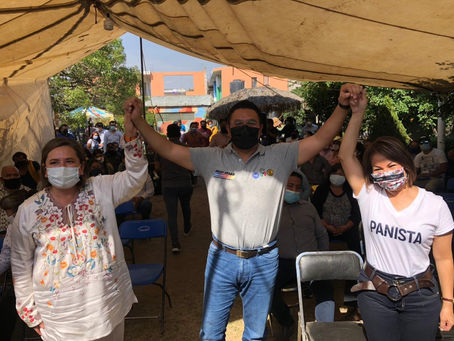 SENADORAS RESPALDAN CANDIDATURA DE JULIO CÉSAR HERNÁNDEZ MEJÍA