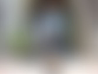 ANUNCIA ERÉNDIRA JIMÉNEZ 5 COMPROMISOS PARA LA AGENDA DE BIENESTAR ANIMAL.