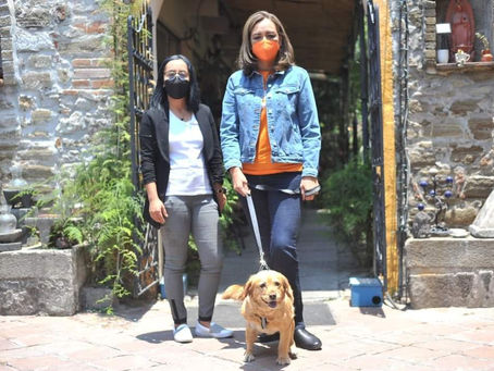 ANUNCIA ERÉNDIRA JIMÉNEZ 5 COMPROMISOS PARA LA AGENDA DE BIENESTAR ANIMAL.