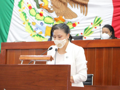 PROPONE LUZ VERA REFORMA QUE OTORGA LIBERTAD A PADRES DE FAMILIA PARA ELEGIR CONTENIDOS EDUCATIVOS