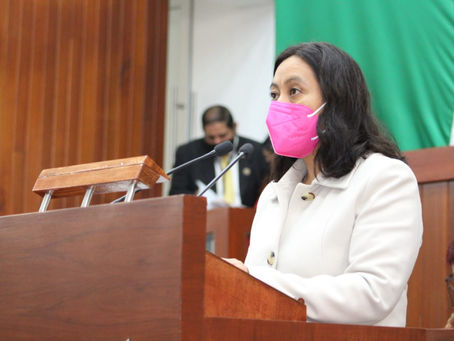Diputada Ma. Del Rayo Netzáhuatl Ilhuicatzi propuso reforma a Ley Orgánica y Reglamento Intererior