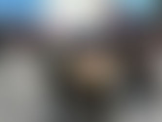 OCUPA PUEBLA EL SEGUNDO LUGAR EN MALTRATO Y CRUELDAD ANIMAL