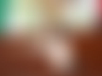 EXHORTA DIPUTADA ISABEL CASAS MENESES AL CONGRESO DE LA UNIÓN