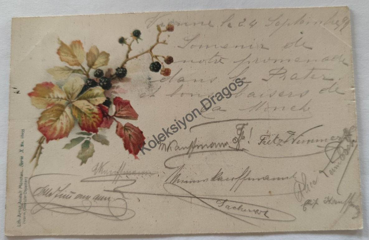 Bitki Temalı - Avusturya