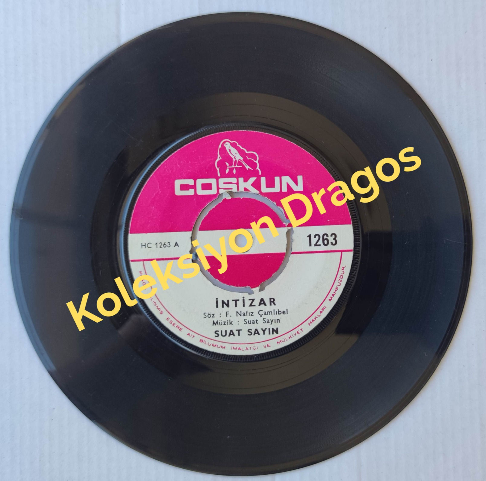 SUAT SAYIN - İNTİZAR - KOLLARINDA ÖLEYİM