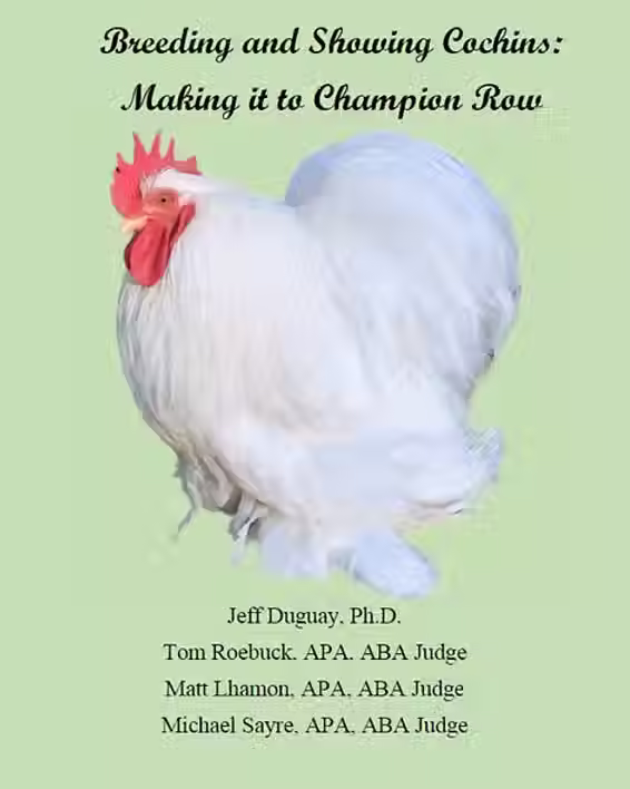 Breeding & Showing Cochins: Making it to Champion Row