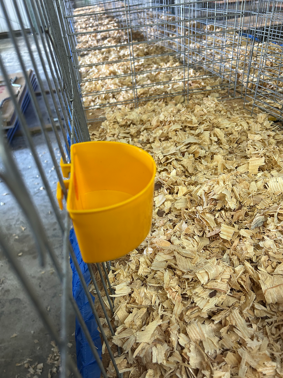 Thumbnail: Pigeon Cage Cup with Sideways Tabs