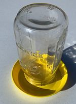 yellow chick water base
