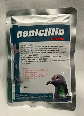 Penicillin Pigeon Chickens Powder