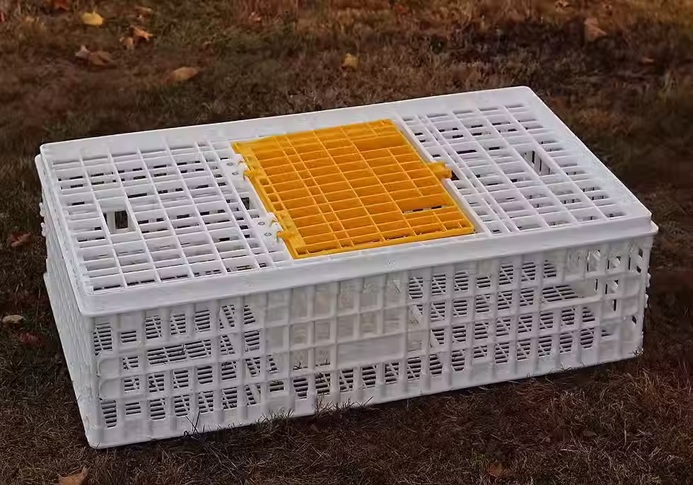 Thumbnail: Low Cost Poultry Coop