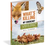 What's Killing My Chickens? Book