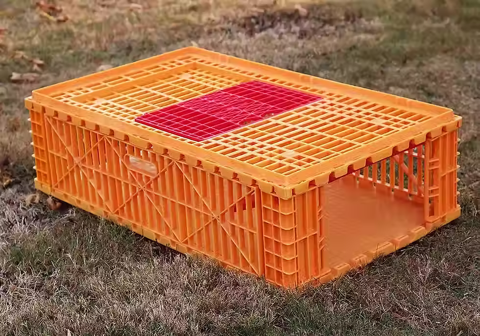 Thumbnail: Fast-Fill Gamebird Coop