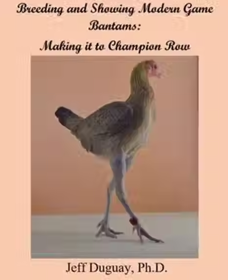Breeding & Showing Modern Game Bantams: Making it to Champion Row