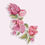 Thumbnail: Bougainvillea sticker